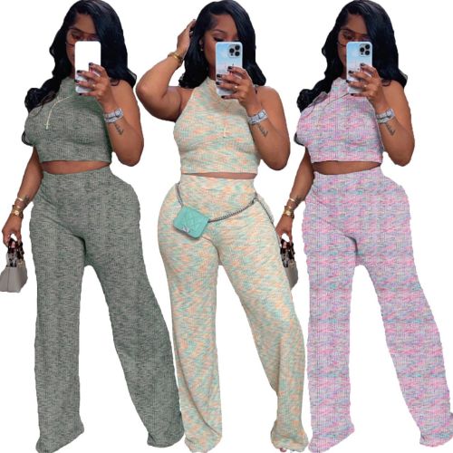 Sleeveless printed wide leg pants two-piece set