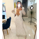 Mesh Perspective Mesh Hot Diamond Dress