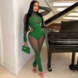 Mesh long sleeved jumpsuit for nightclubs