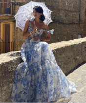 Eugenia Long Evening Dress