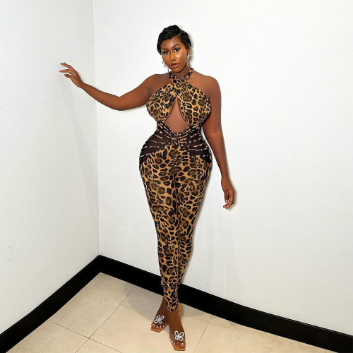 Mesh patchwork leopard print backless jumpsuit