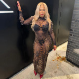 Mesh see through leopard print long sleeved dress K24D56731