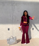 Korean Velvet Hooded Wide Leg Pants Sport Set