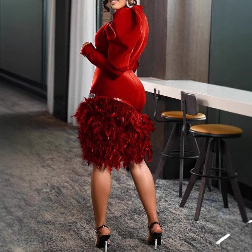 Lantern long sleeved tight feather dress