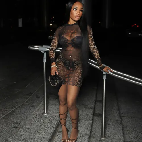 Mesh see through high waist and hip hugging dress