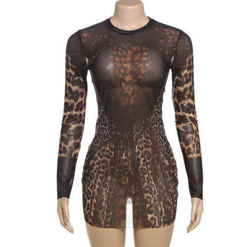 Mesh see through high waist and hip hugging dress