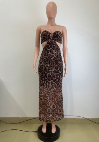 Leopard print chest wrapped mesh dress Y6060