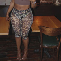 Leopard print five quarter shorts