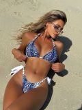 Metal chain leopard print color blocked split swimsuit bikini S904552068515