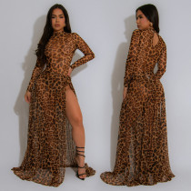 Leopard print long sleeved slit dress