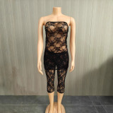 Lace shorts two-piece set