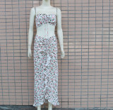 Two piece set with pleated ruffle edge dress and printed design