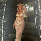 Lace see through long sleeved slim fit dress