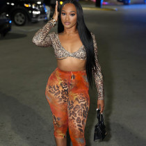 Leopard print tight cropped pants