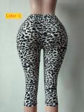 Leopard print high waisted slim fit pants