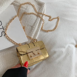 Mini chain crossbody bag shoulder bag