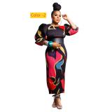 Lantern sleeve pleated dress
