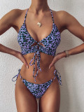 Split swimsuit bikini swimsuit