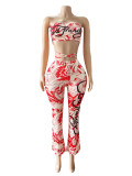 Printed lace up strapless pants set