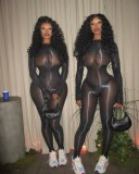 Oil shiny jumpsuit stockings see through tight fitting silky seamless jumpsuit