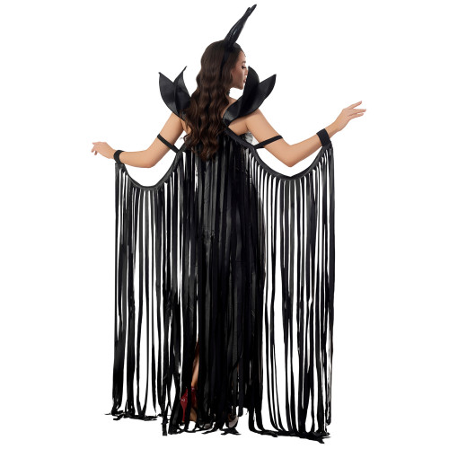 Witch costume Halloween costume