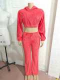 Plush Comfort Two Piece Set