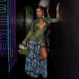 Digital Printed Netting Patchwork High-Waisted Maxi Dress