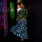 Digital Printed Netting Patchwork High-Waisted Maxi Dress