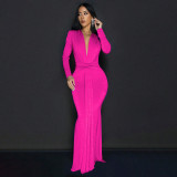 Long sleeved waist cinched pleated dress