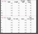 Women Long Pants Letters Printing 2 Pcs Sets XC194831267