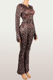 Fashion cardigan hooded top and pants set XS-4133