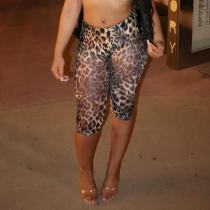 Tailored leopard print cropped pants