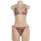 Bikini leopard print three-point two-piece set