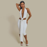 Deep V women's strap neck hanging leopard print set
