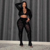 Large flocking transparent leggings