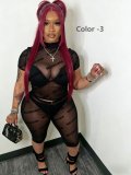 Two piece set of plush mesh yarn