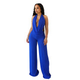 Hanging neck, swinging collar, big backless, tied rope, mesh, two-piece set