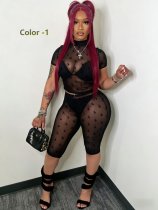 Two piece set of plush mesh yarn