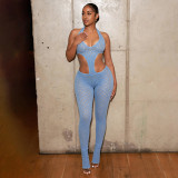 Perspective knitted deep V-jumpsuit