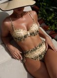 Serpentine bikini split print swimsuit