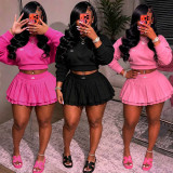 Two piece set of crop top hoodie and pleated skirt