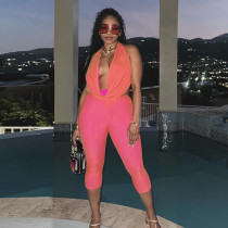 Hanging neck, hanging pleats, tied straps, backless top, hip hugging cropped pants, two tone set
