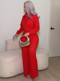 Hot stamping pleated long sleeved lapel shirt wide leg long pants two-piece set