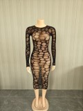 Fun hollow perspective mesh high stretch dress