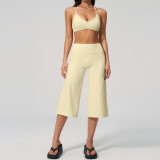 Sports shock-absorbing bra, tight fitting quick drying high waisted mid length pants, yoga suit set