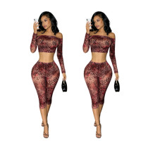 Mesh printed long sleeved off shoulder cropped pants set MZ88718