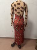 Mesh printed lace up long sleeved dress G561