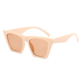 Women Trendy Cat Eye Sunglasses