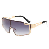 One Piece Tinted Lens UV400 Sunglasses