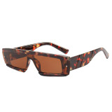 Ladies Vintage Small Rectangle Sunglasses